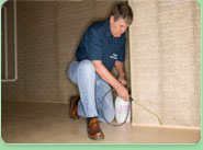 Newmarket pest control